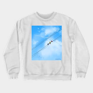 Birds on the Line Crewneck Sweatshirt